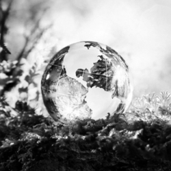 Ambiental